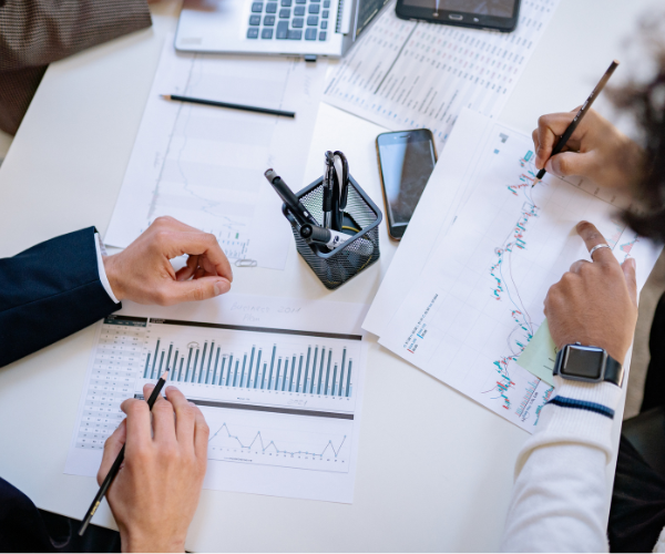 Survival Strategies consulting team working with a private practice